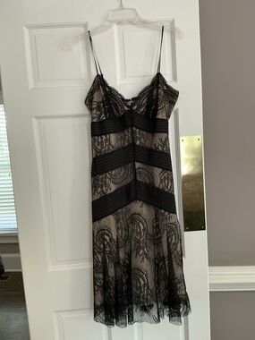 BCBG  Lace Slip Dress with Sheer Nude Underlay size 6

Condition Used
Size 6